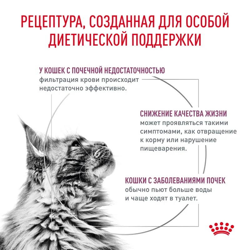 Royal Canin Renal влажный корм для кошек при почечной недостаточности кусочки с говядиной  в соусе 85гр