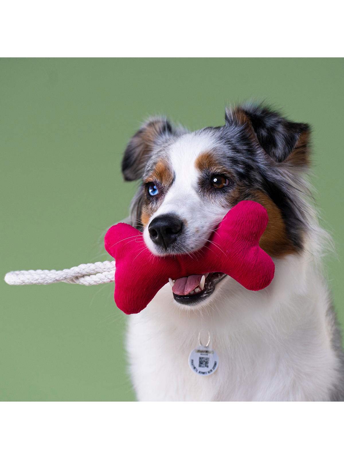 Игрушка Mr.Kranch для собак мелких и средних пород Косточка с канатом 31х9х4см, ярко розовая