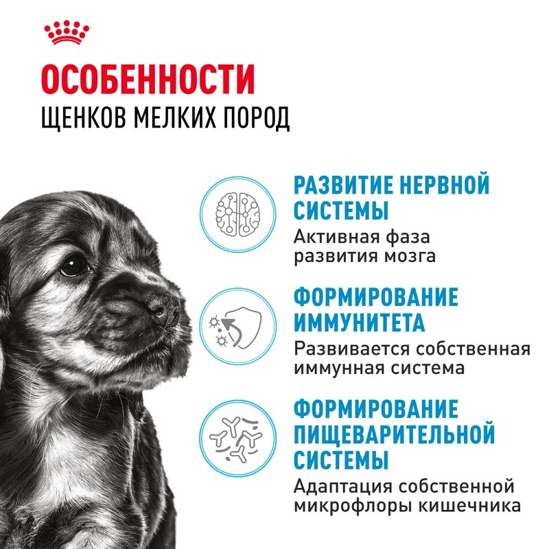 Сухой корм ROYAL CANIN Mini Puppy для щенков мелких пород до 10 месяцев 4 кг 4627109387625