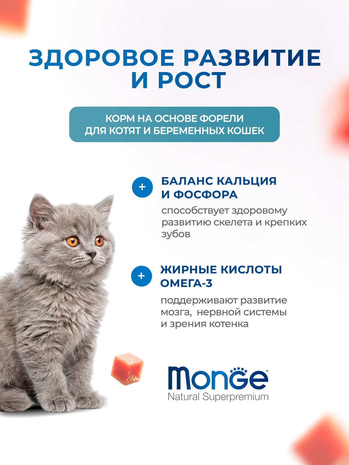 Сухой корм Monge Cat Speciality Line Monoprotein для котят и беременных кошек, из форели 400 г