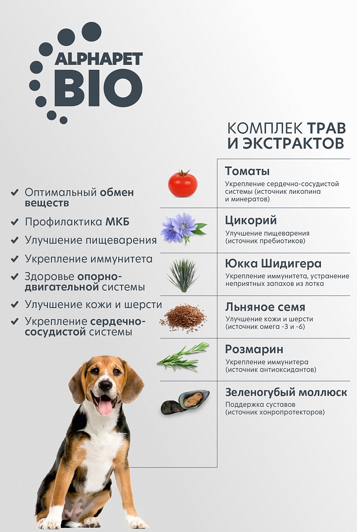 AlphaPet Альфа Пет WOW Сухой для взрослых собак средних пород с говядиной и сердцем 2кг 4670064651577