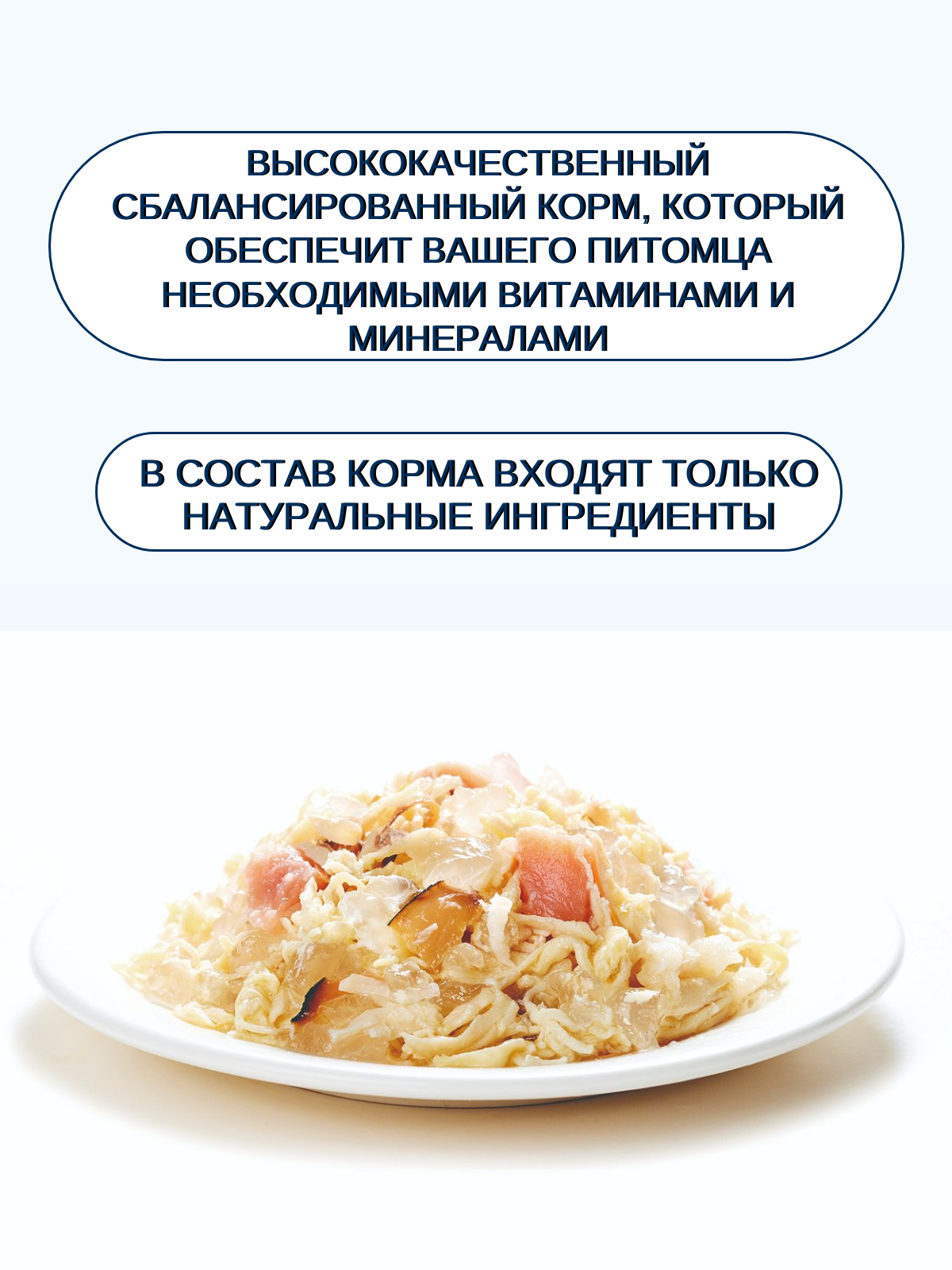 Wanpy Cat Консервы для кошек, курица с лососем, 95 г