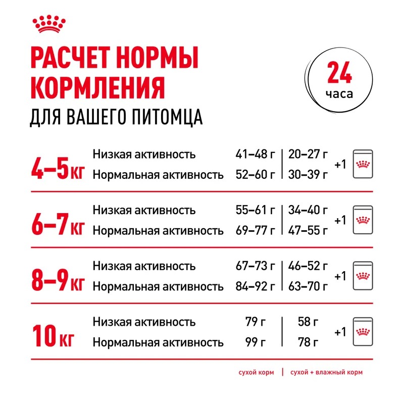 ROYAL CANIN Maine Coon корм для кошек породы Мэйн Кун 400 гр 4627109382286