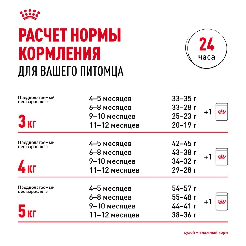 ROYAL CANIN Sphynx Kitten корм для котят породы сфинкс 2 кг 4627150233988
