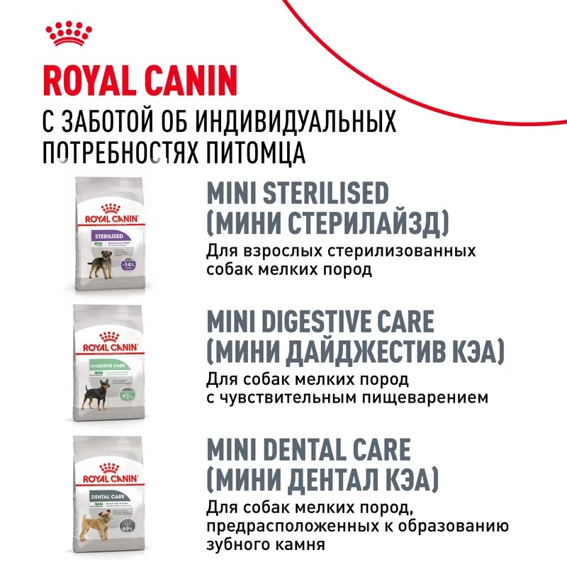 Royal Canin Сухой корм для собак  Pomeranian Adult, для породы Померанский Шпиц 500 г