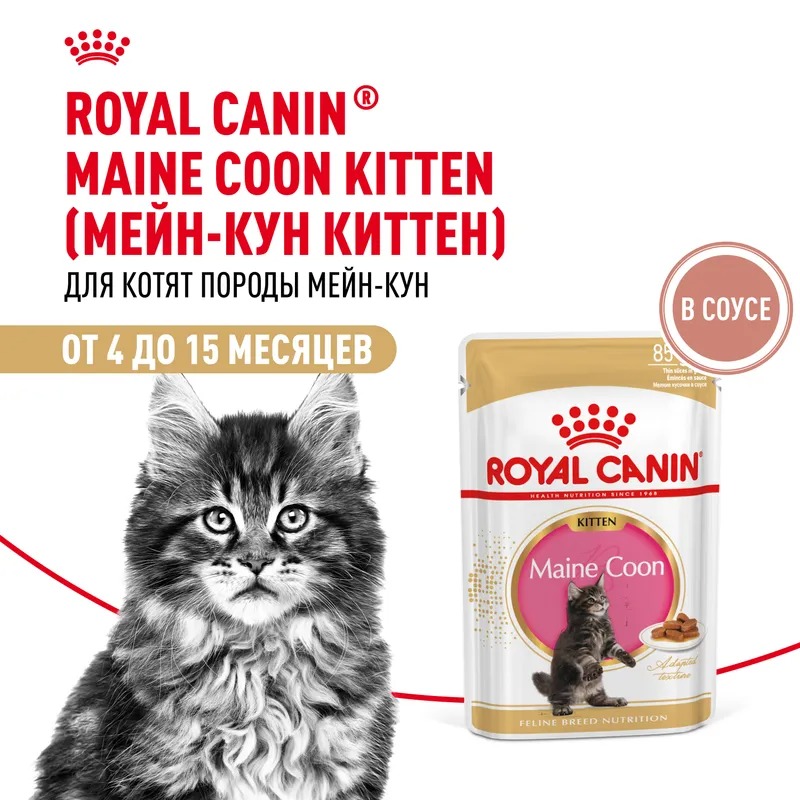 Влажный корм Royal Canin Maine Coon Kitten для котят мейн-кунов до 15 мес. мелкие кусочки в соусе 85гр