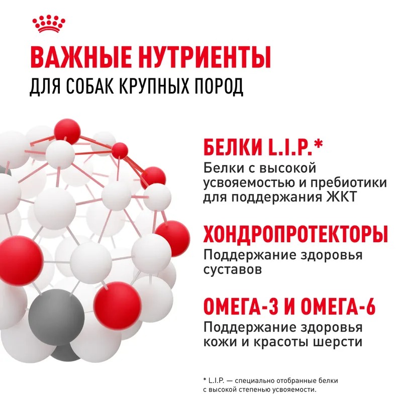 ROYAL CANIN Maxi Adult Корм для собак крупных пород 15 кг 4627109384891