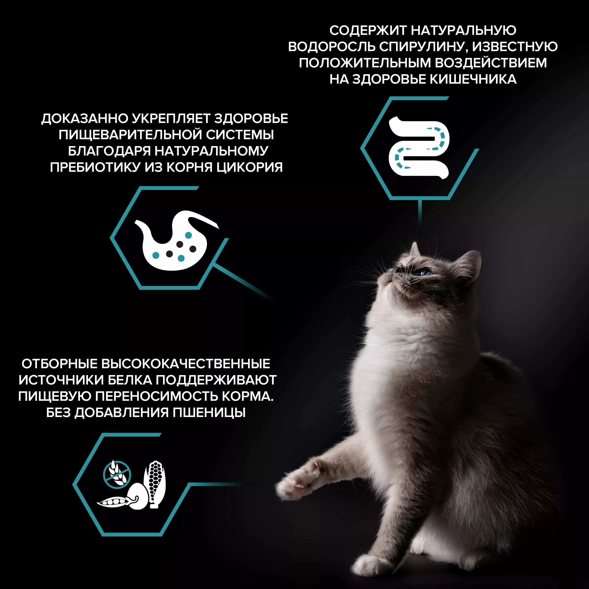 Сухой корм PRO PLAN Nature Elements DELICATE DIGESTION для кошек при чувствительном пищеварении с индейкой 400 гр