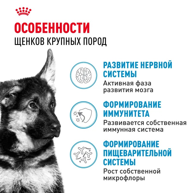 ROYAL CANIN Maxi Puppy сухой корм для щенков крупных пород 15кг 4627109387779