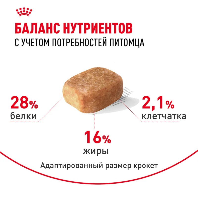 Royal Canin Chihuahua Adult Сухой корм для собак для породы Чихуахуа 1,5 кг
