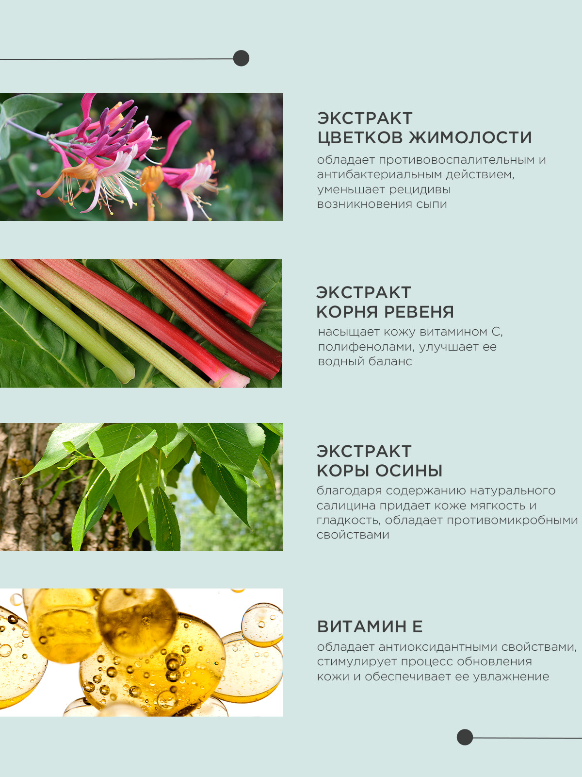 Жидкий шампунь ProPhyto CLASSIC SHAMPOO с растительными экстрактами для блеска и мягкости шерсти собак, 500 мл