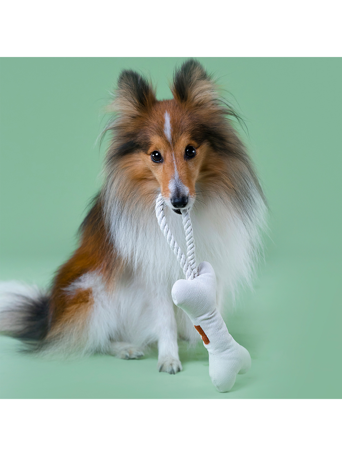 Игрушка Mr.Kranch для собак мелких и средних пород Косточка с канатом 31х9х4см, бежево-пятнистая