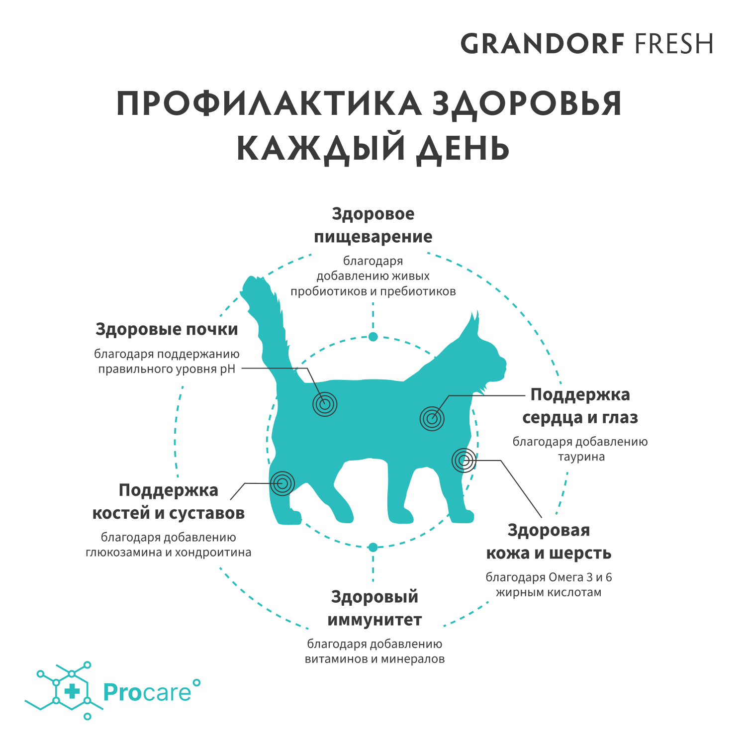 Grandorf Fresh Сухой беззерновой корм для крупных кошек с ягненком 400 гр 5407007852697