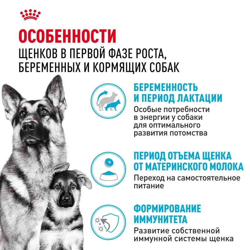Royal Canin  Сухой корм для щенков  Maxi Starter, для крупных пород до 2-х месяцев 15 кг