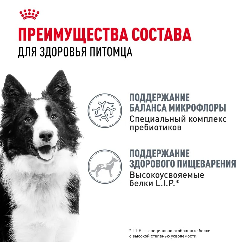 Royal Canin Сухой корм для собак  Medium Digestive Care, с чувствительным пищеварением 3 кг