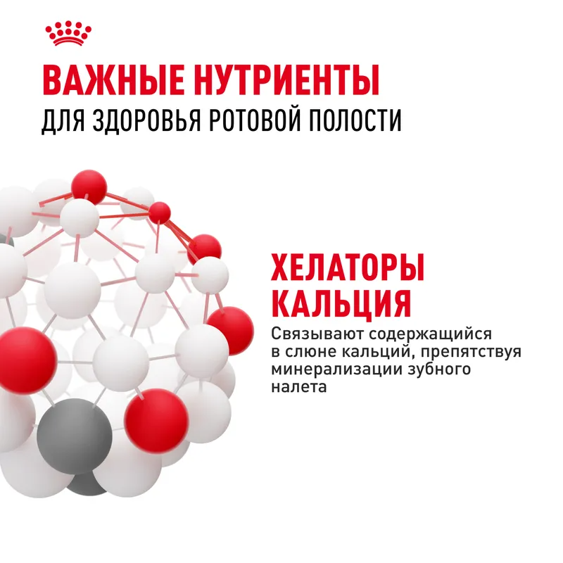 ROYAL CANIN Сухой корм для кошек Dental Care для профилактики образования зубного налета и зубного камня, 400гр