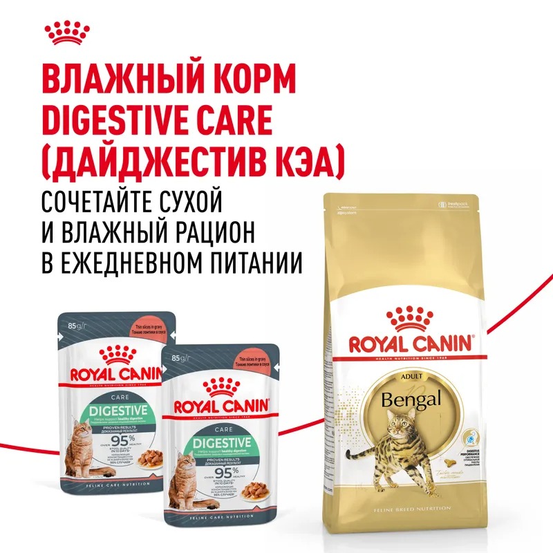 Royal Canin Bengal Adult Сухой корм для взрослых кошек бенгальской породы 2 кг