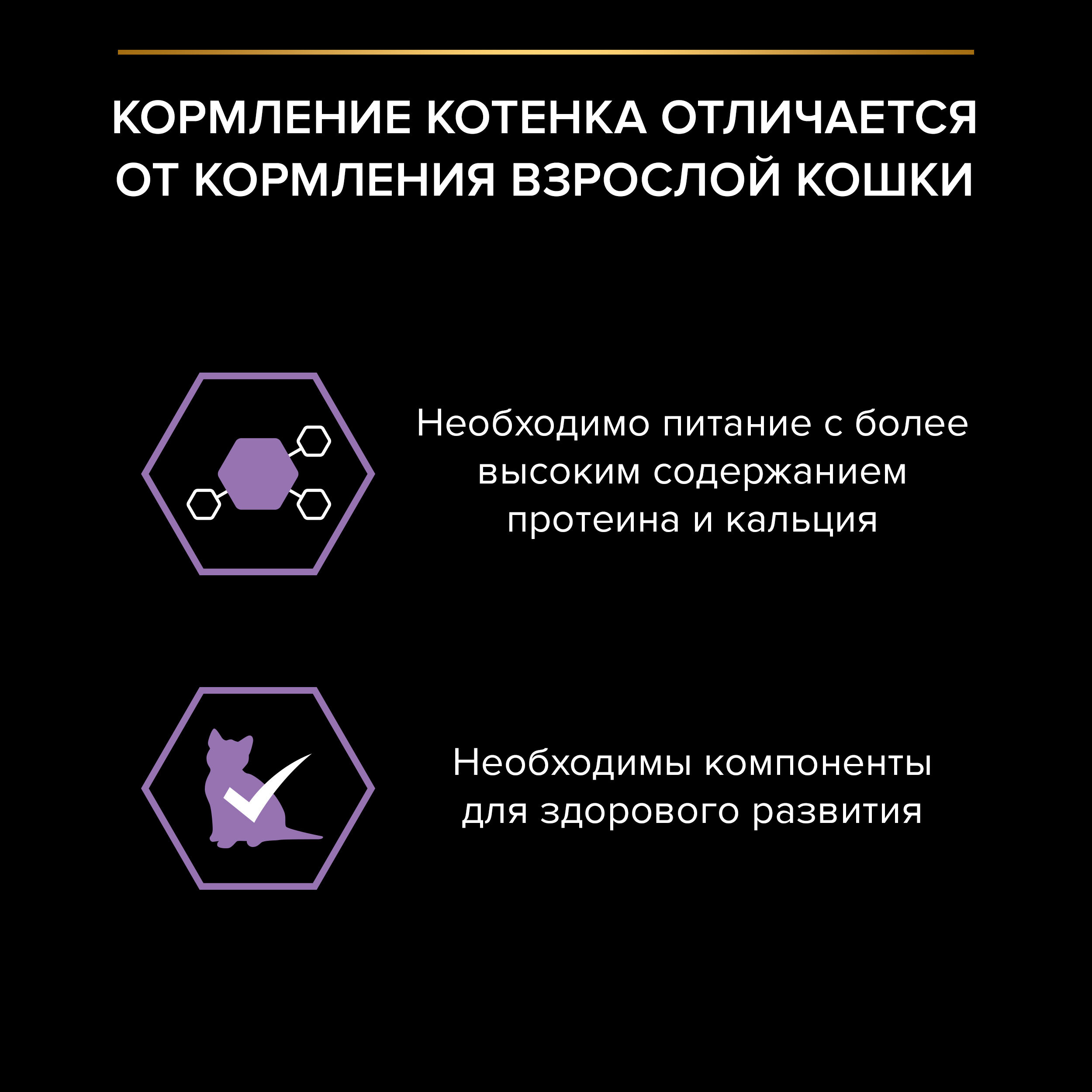 Влажный корм PRO PLAN HEALTHY START для котят, беременных и кормящих кошек, кусочки с лососем в соусе, 85 г