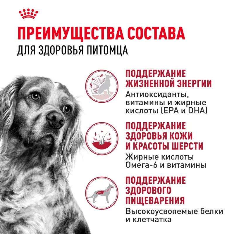Royal Canin Medium Adult 7+ Сухой корм для пожилых собак средних пород 15 кг