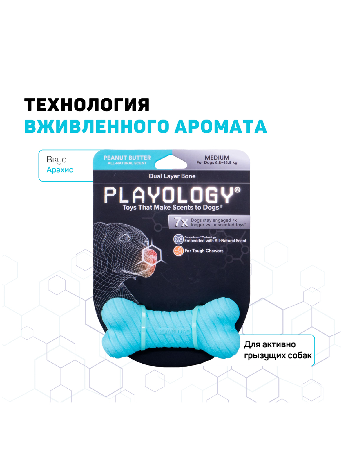Playology двухслойная жевательная косточка DUAL LAYER BONE для собак средних пород с ароматом арахиса, средняя, цвет голубой