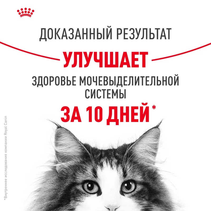 ROYAL CANIN Urinary Care Корм сухой диетический для кошек при МКБ 2 кг 4690553016588