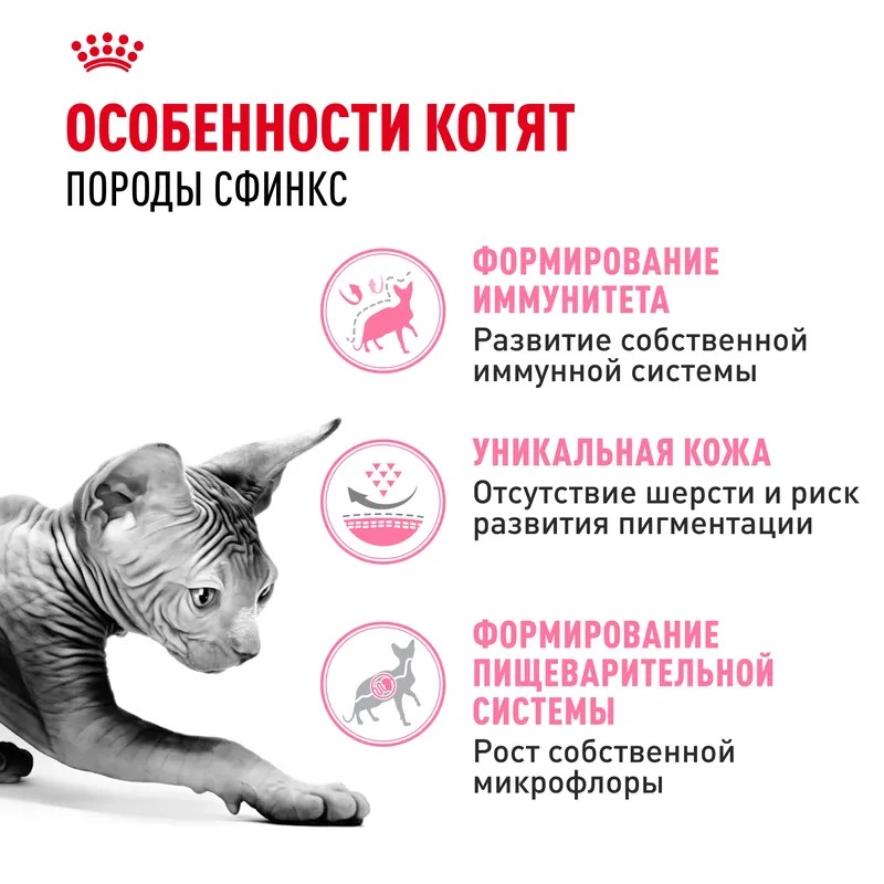 ROYAL CANIN Sphynx Kitten корм для котят породы сфинкс 2 кг 4627150233988