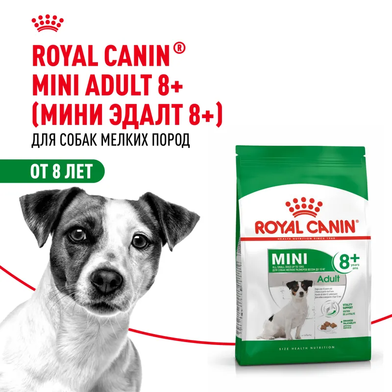 Сухой корм Royal Canin Mini Adult 8+ для стареющих собак мелких пород (весом от 1 до 10 кг) в возрасте от 8 лет 2кг