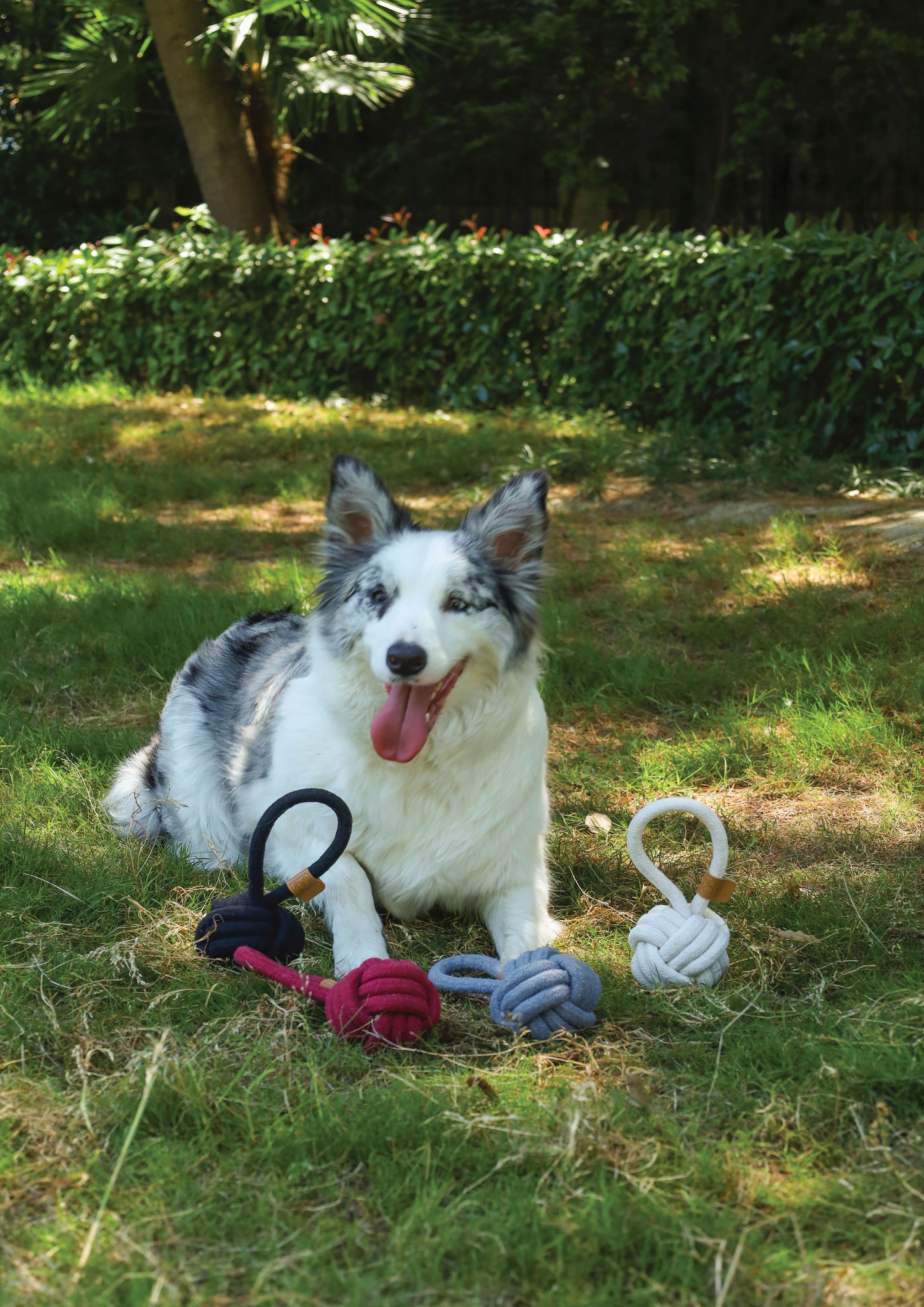 Игрушка для собак мяч-петля белый 8см (хлопок) Mpets 10646801