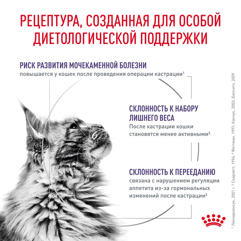 Влажный корм Royal Canin Neutered Maintenance для стерилизованных/кастрированных взрослых кошек с момента стерилизации и кастрации до 7 лет 85гр