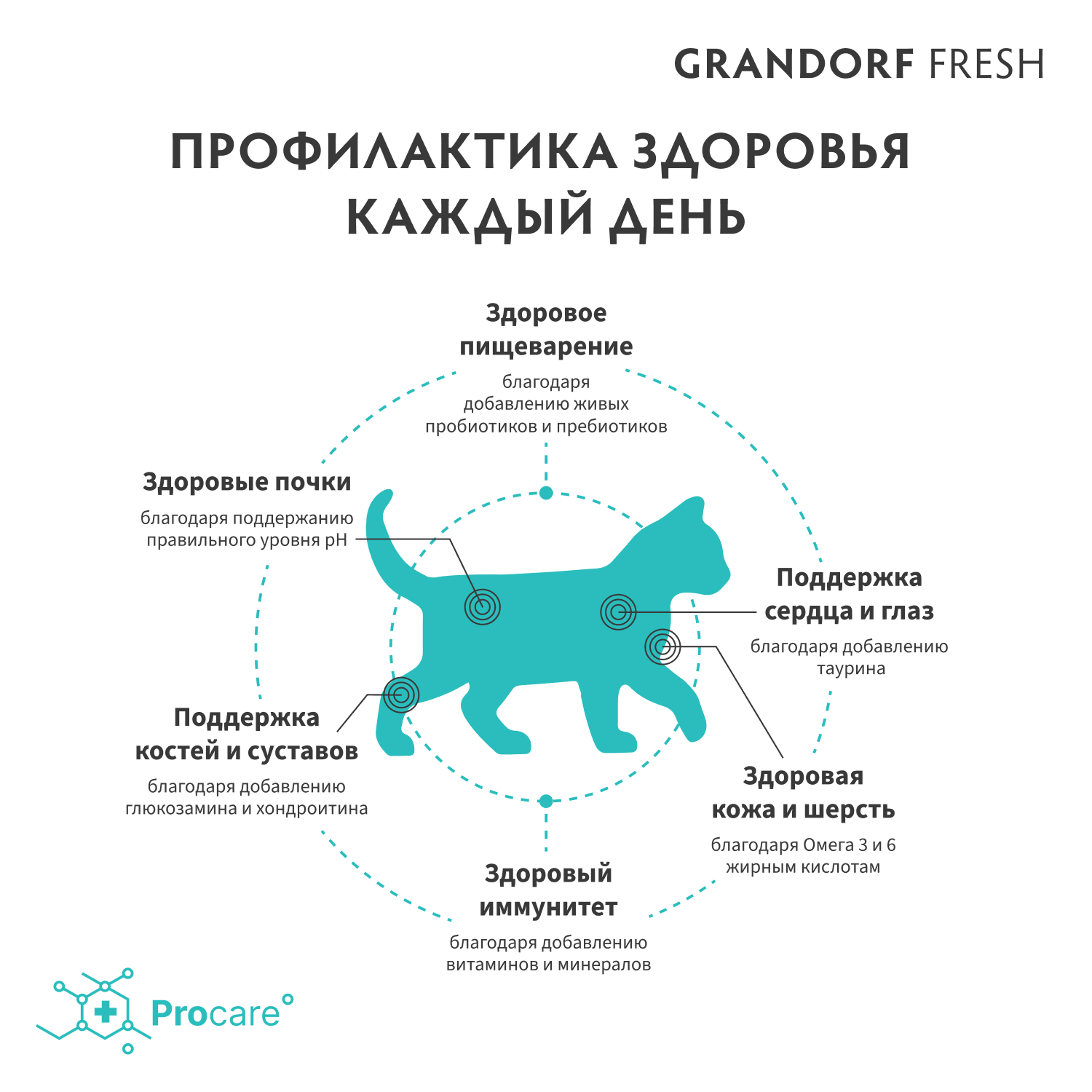 Grandorf Сухой беззерновой корм для котят с ягненком 400 гр 5407007852512
