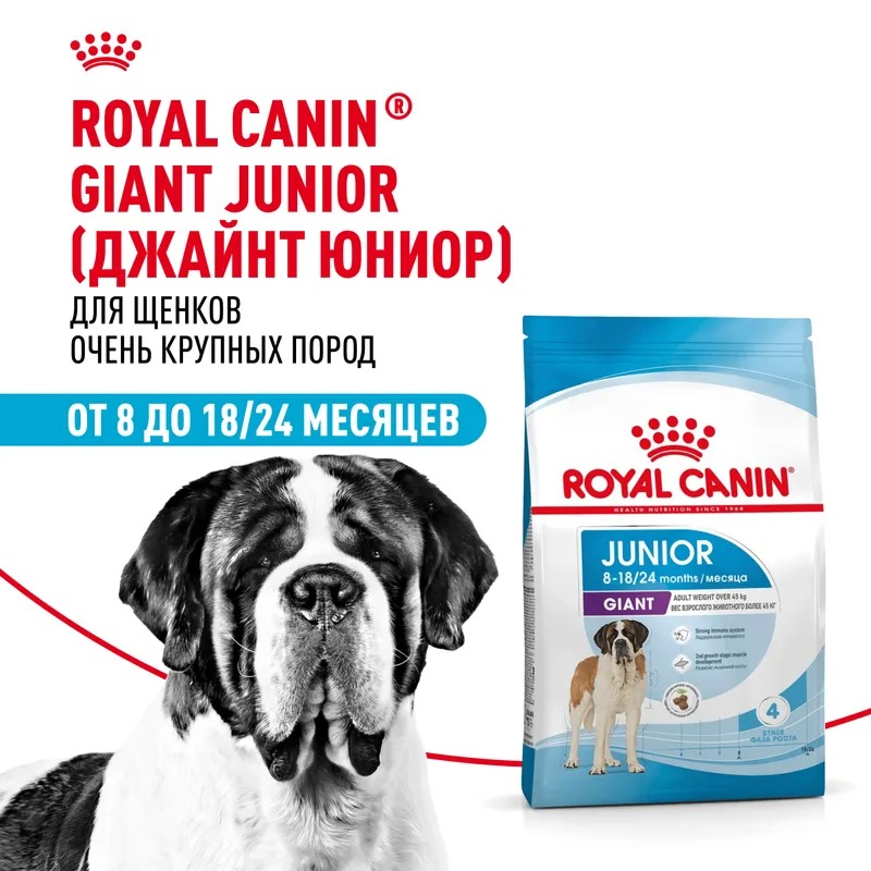 ROYAL CANIN Giant Junior корм сухой для щенков гигантских пород 3,5 кг