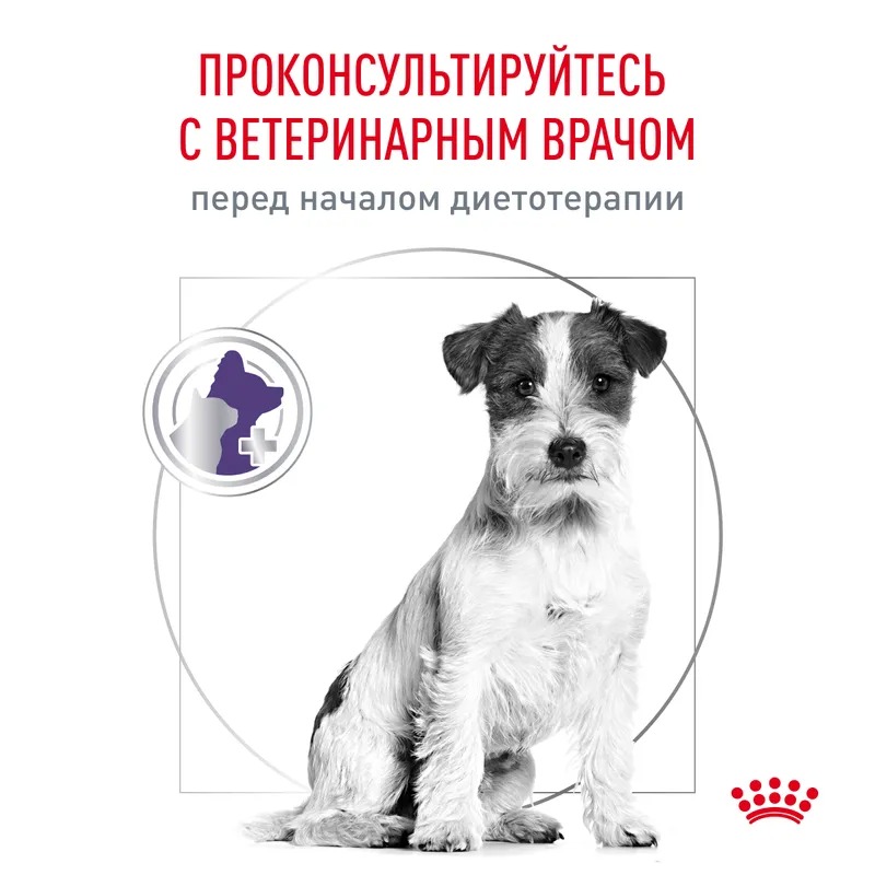 Royal Canin Neutered Adult Small Dogs  Сухой корм для собак , для малых пород, контроль веса 3,5 кг