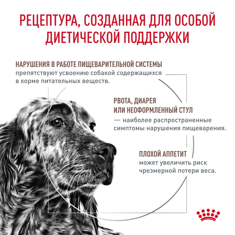ROYAL CANIN Gastrointestinal корм для собак нарушение пищеварения 2 кг 4627109385294