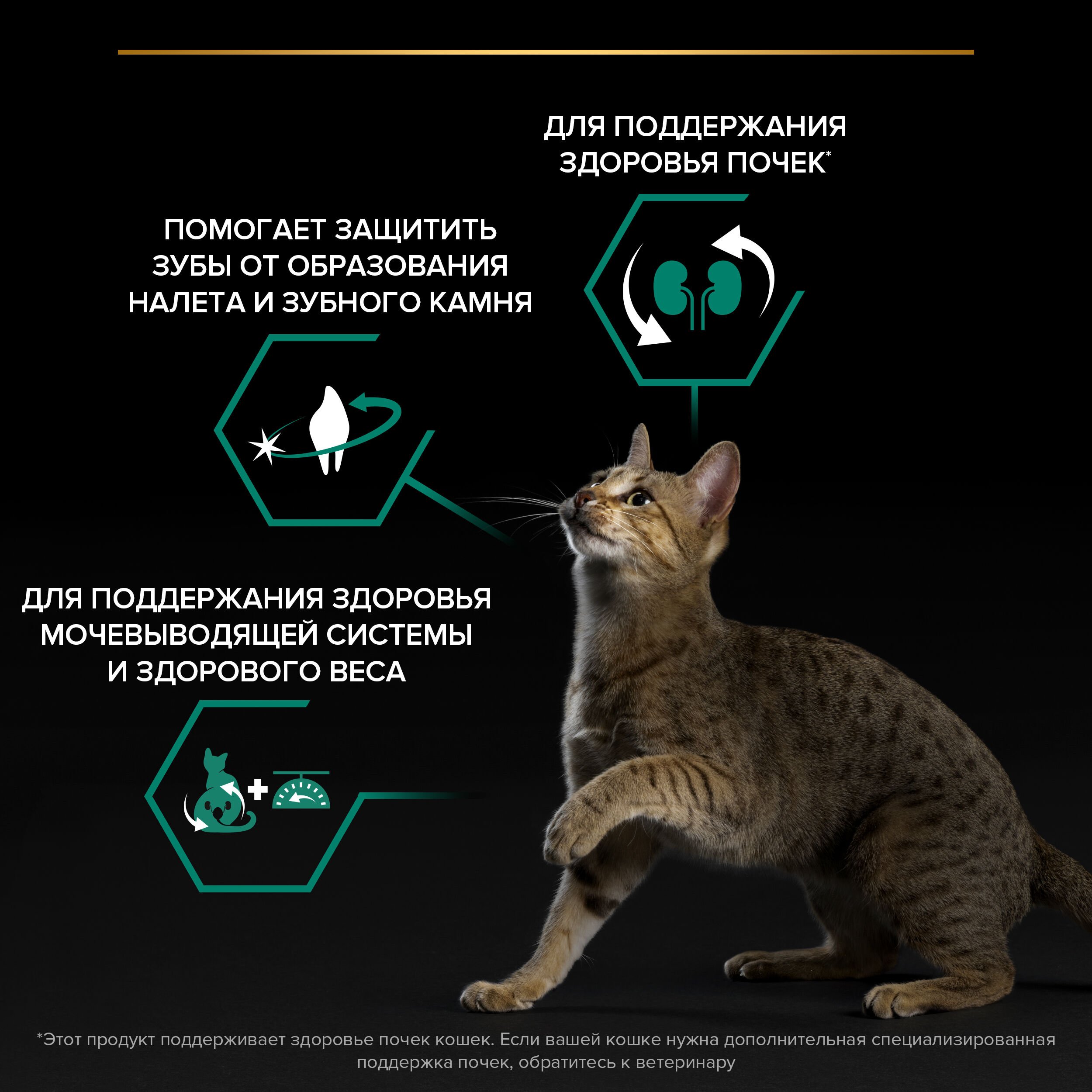 Сухой корм для кошек PRO PLAN для здоровья почек после стерилизации с лососем, 1,5 кг 7613036499842
