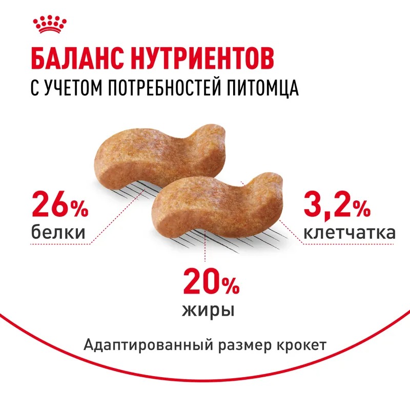 Royal Canin Boxer Adult, Сухой корм для собак для породы Боксер 12 кг