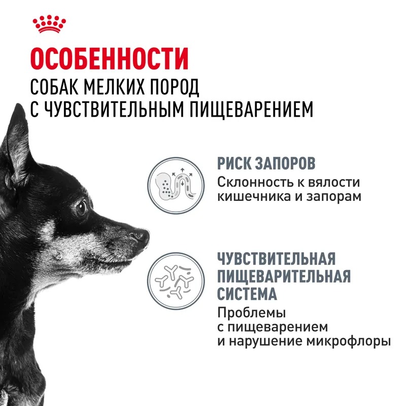 ROYAL CANIN Digestive для мелких собак с чувствительным пищеварением 3кг 4627150231656