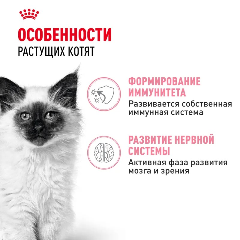 ROYAL CANIN Kitten Влажный корм для котят до 12 месяцев, в соусе, 1шт-85гр 4627150233865