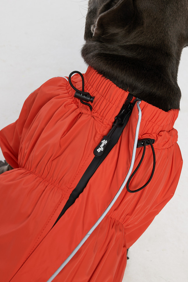 Дождевик LionPets Мопс LPK9325-29 на девочку Цвет: Оранжевый