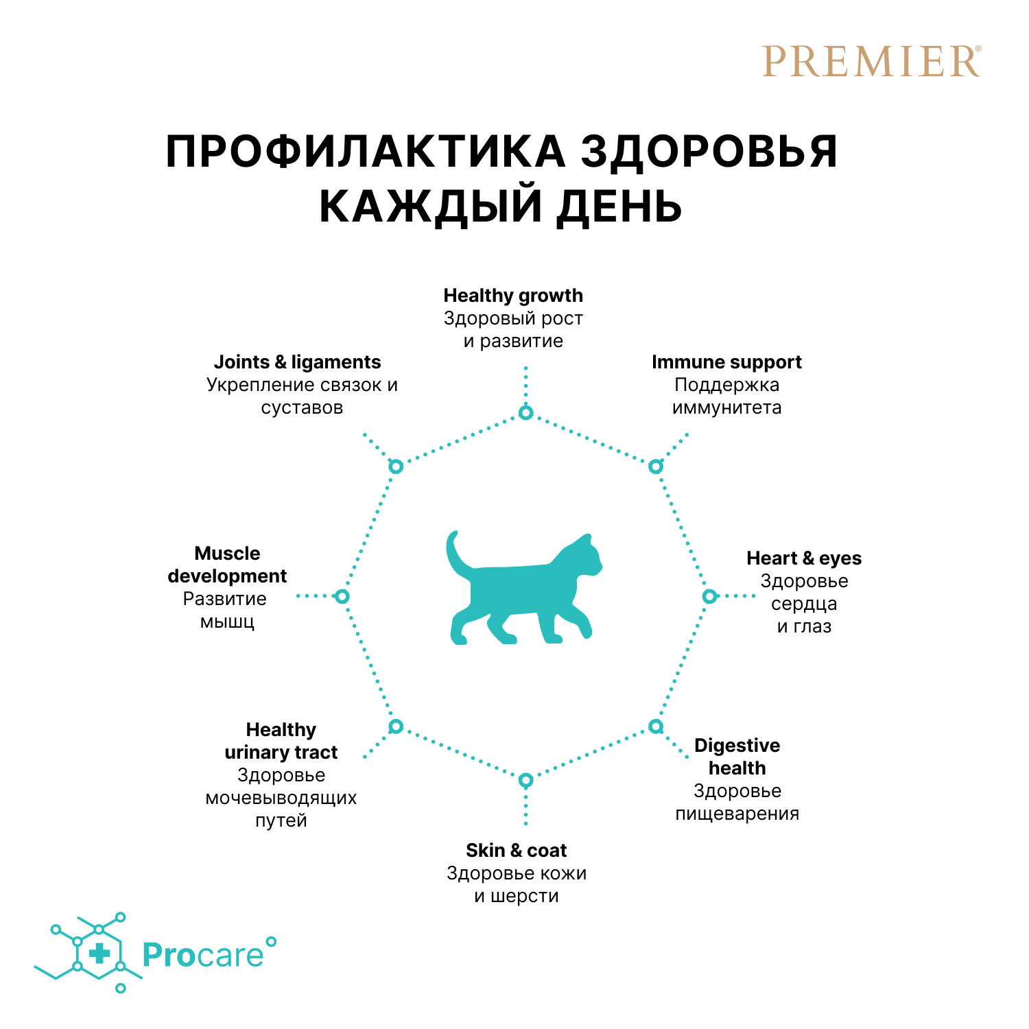 Premier Сухой корм для котят с индейкой 400 гр 5407007851584