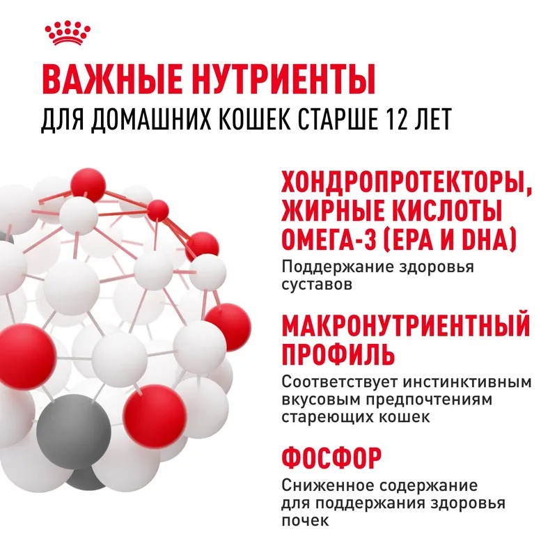 Royal Canin Ageing 12+ Влажный корм для стареющих кошек в возрасте старше 12 лет, мелкие кусочки в желе, 85гр