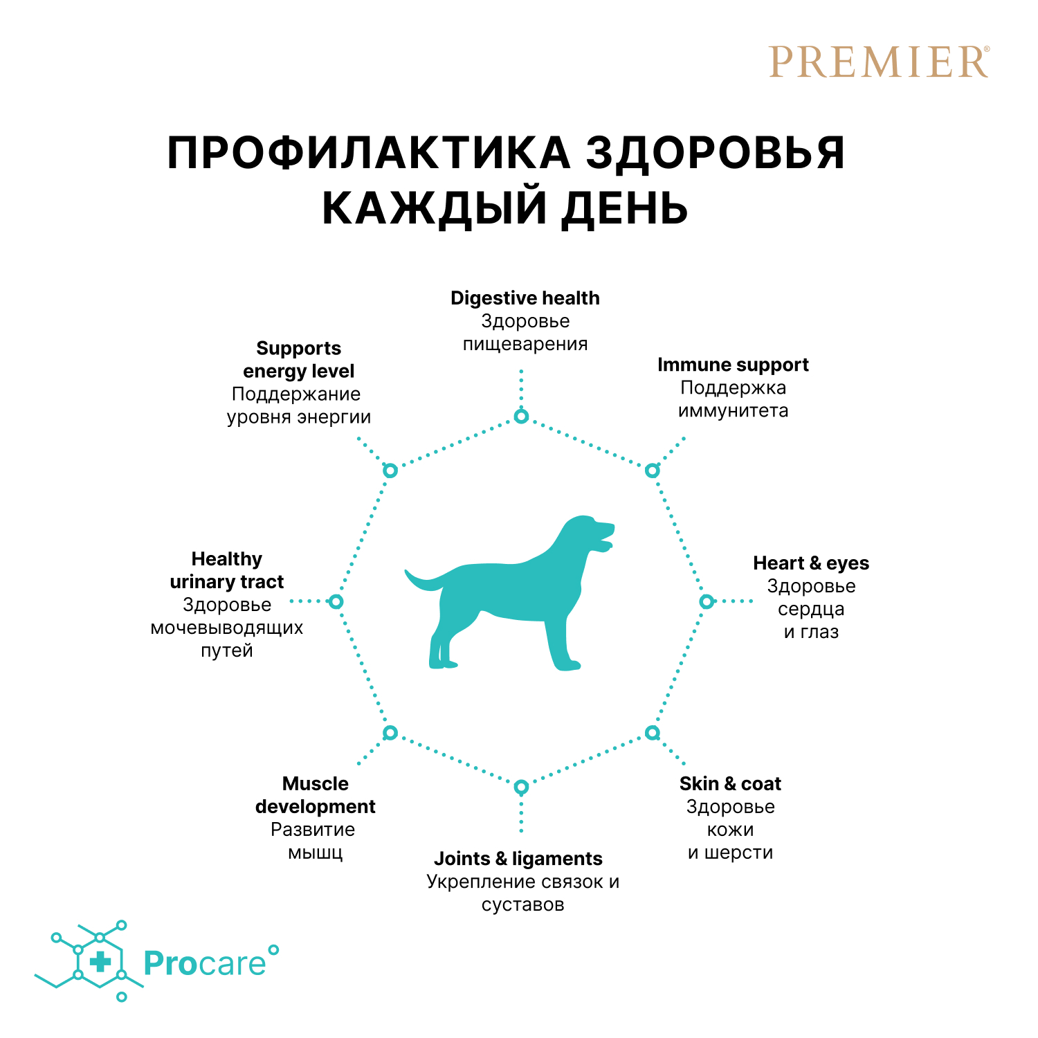 Premier Сухой корм для средних собак с ягненком и индейкой 1 кг 5407007851485