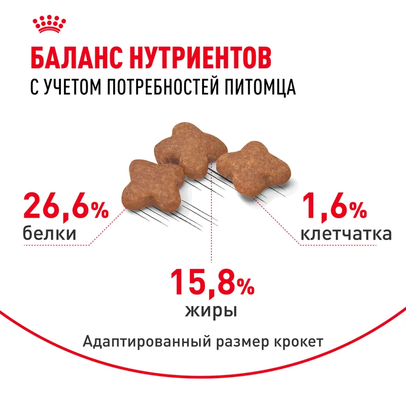 Сухой корм Royal Canin Mini Adult 8+ для стареющих собак мелких пород (весом от 1 до 10 кг) в возрасте от 8 лет 2кг