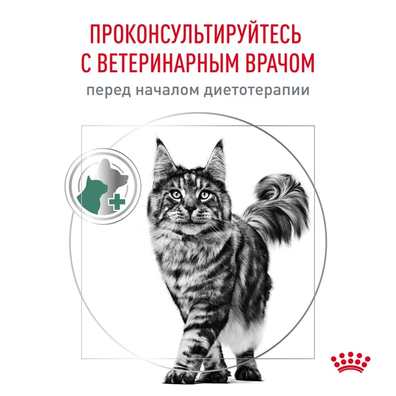 Royal Canin Diabetic Сухой корм для взрослых кошек при сахарном диабете 350г