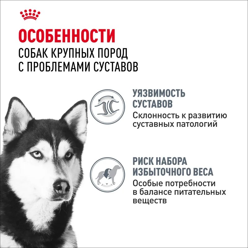 Royal Canin Maxi Joint Care Сухой корм для крупных  собак , поддержка суставов 10 кг