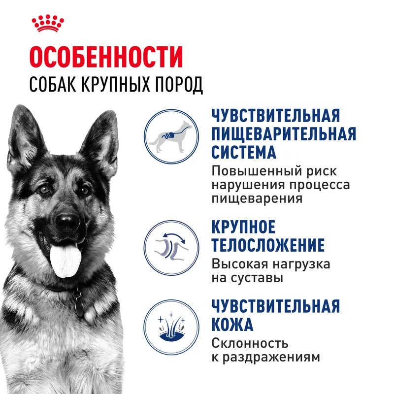 ROYAL CANIN Maxi Adult Корм для собак крупных пород 15 кг 4627109384891