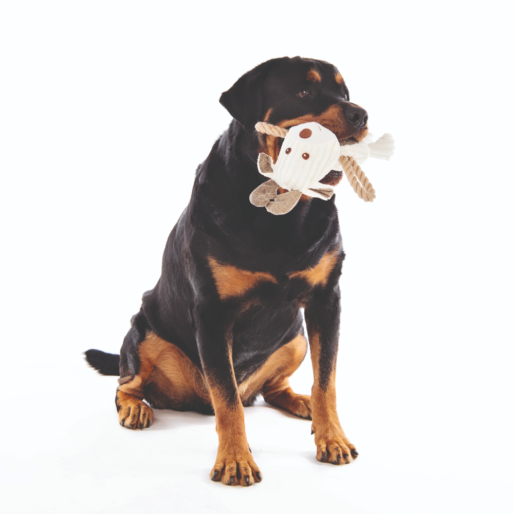 Игрушка мягкая для собак Олень Руни с канатом, 30 см, MPets 10640399