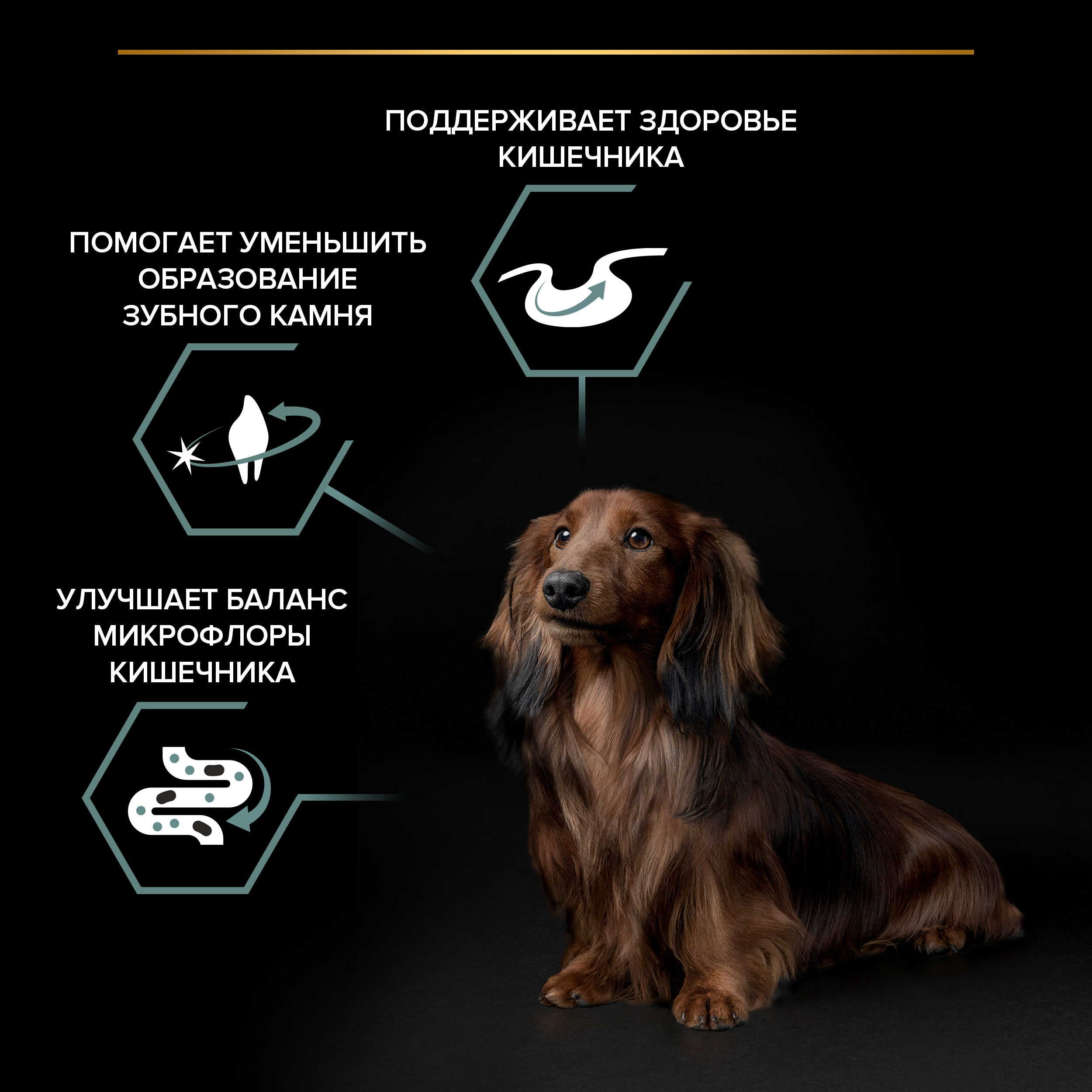 Сухой корм для собак мелких и карликовых пород PRO PLAN пород при чувствительном пищеварении с ягненком, 700гр 7613035214866