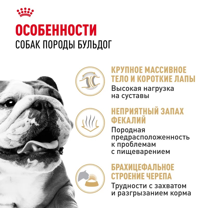 Royal Canin Bulldog Adult, Сухой корм для собак породы Бульдог 12 кг