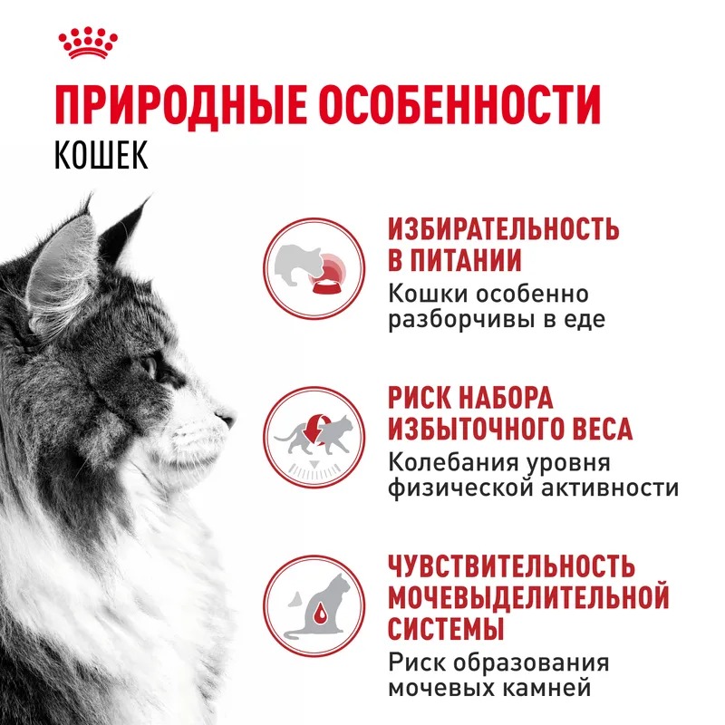ROYAL CANIN Instinctive Корм желе для кошек 1шт-85гр 4627150233902