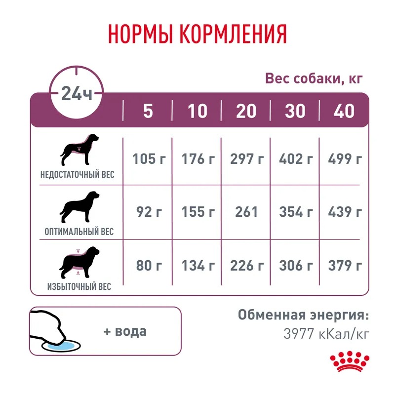 ROYAL CANIN Renal корм для собак для почек 2 кг 4627109385331